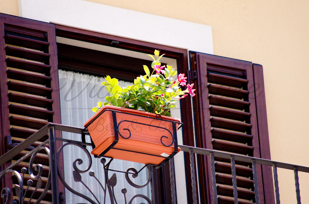 Viadelmare Rooms Monopoli Ngoại thất bức ảnh